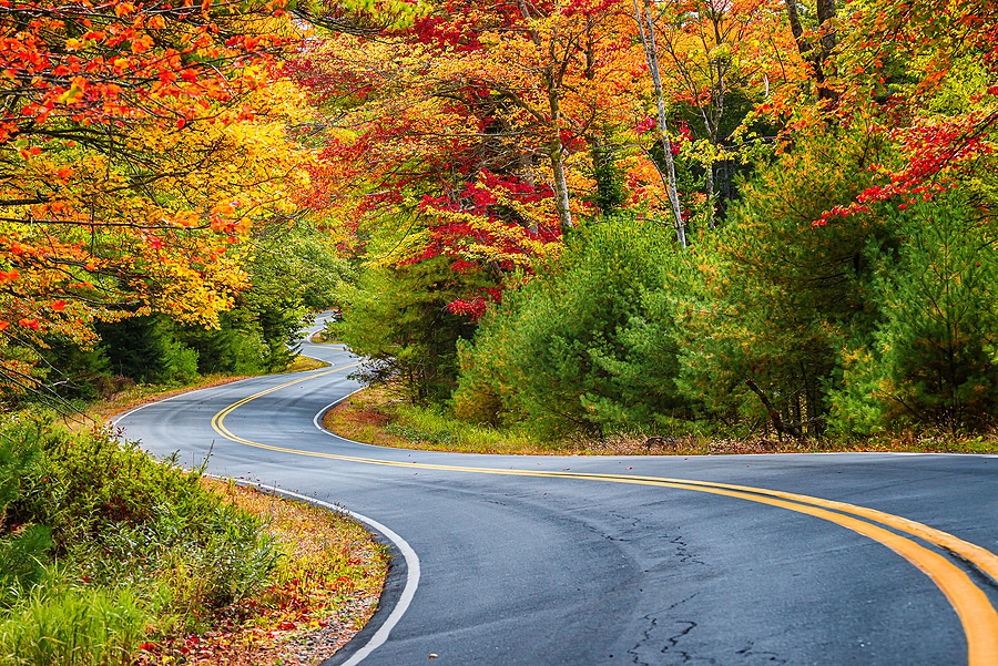 How to Plan Your Fall Foliage Trip in a Passenger Van
